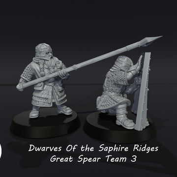 Dwarves of the Saphire Ridges Great Shield Team 3