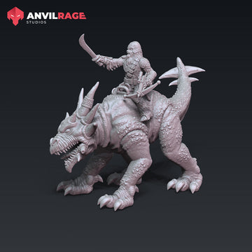 FURY DRAGON RIDER