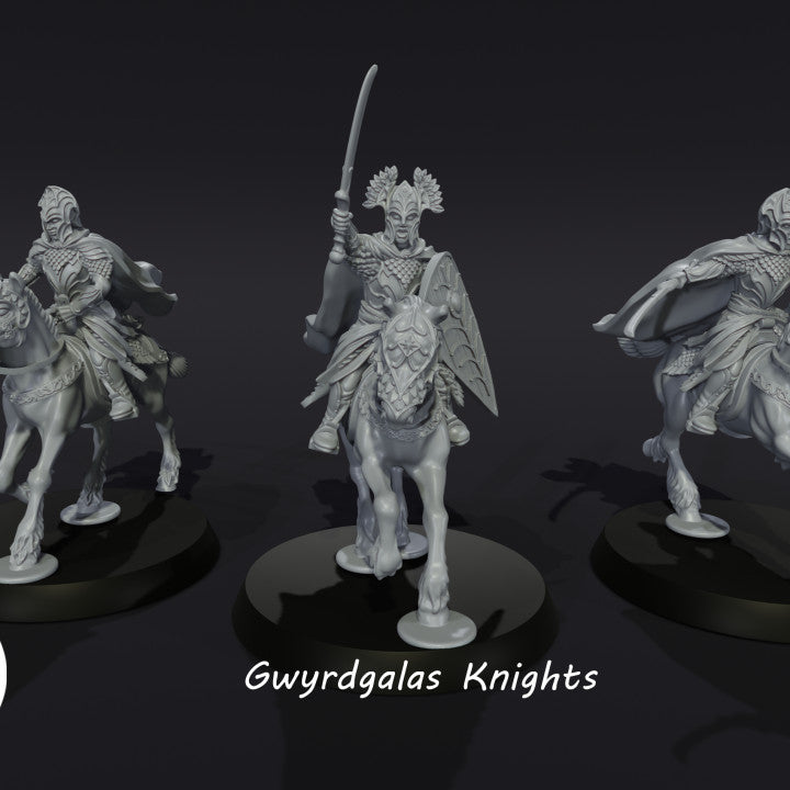 Gwyrdgalas Knights 1