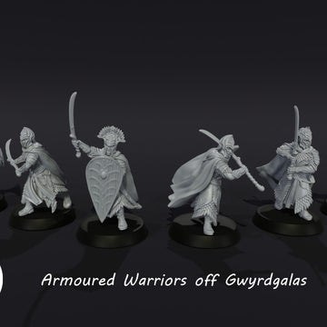 Armoured Warriors Of Gwyrdgalas