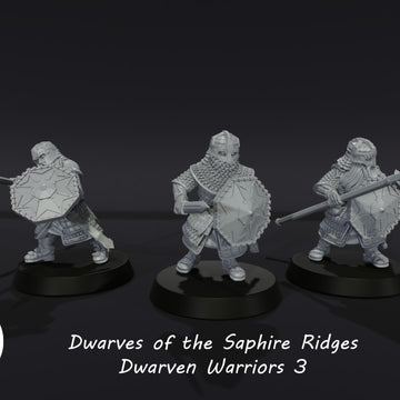 Dwarves of the Saphire Ridges Dwarf Warriors 3