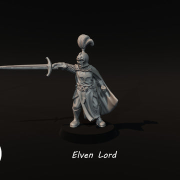 Elven Lord