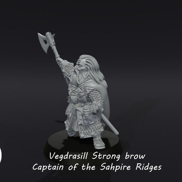 Vegdrasill Strong brow, Captain of the Dwarves of the Saphire Ridges