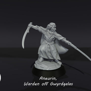 Aneurin, Warden off Gwyrdgalas