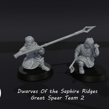 Dwarves of the Saphire Ridges Great Shield Team 2