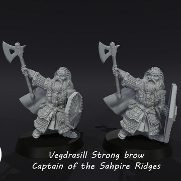 Vegdrasill Strong brow, Captain of the Dwarves of the Saphire Ridges